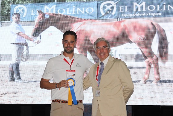 Imágenes de la Gran Semana Anglo-Arabe 2025.