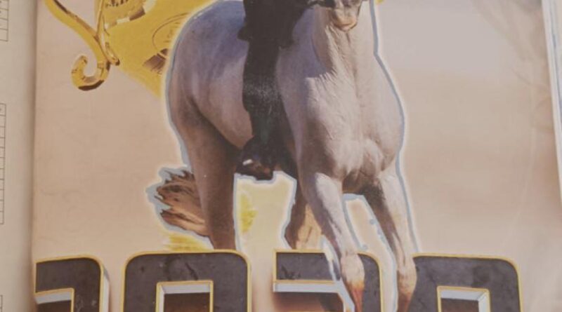 «JG Malambo» Primer Caballo Uruguayo en Ganar la President CUP.