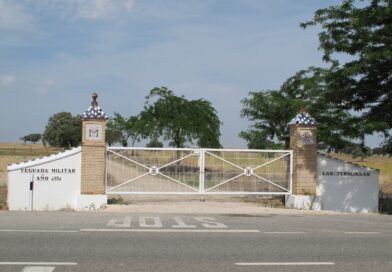 XIX Raid Hípico Ciudad de Osuna (Sevilla).
