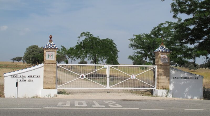 XIX Raid Hípico Ciudad de Osuna (Sevilla).