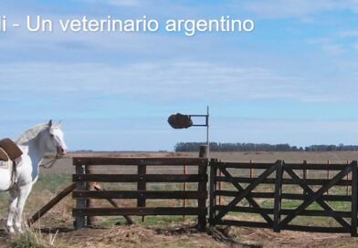 Gacetilla de Jorge Epinelli, Veterinario.