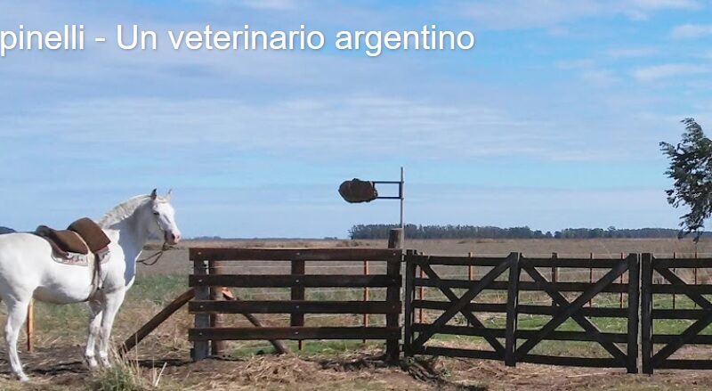 Gacetilla de Jorge Epinelli, Veterinario.