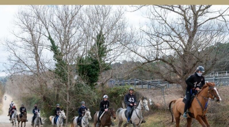 Resultados del Raid Hípico Vallorguina (Barcelona). 1/2/26