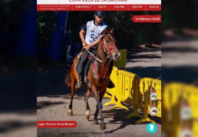 Inscritos en el XXVI Raid Hípico de Benijos Copa Villa de La Orotava, (Tenerife).