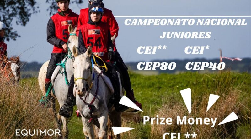 Españoles Inscritos en el IX Raid Hípico de Herdade dos Hospitais Montemor-o-Novo (POR)