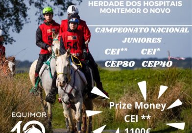 Resultados del IX Raid Hípico de Herdade dos Hospitais Montemor-o-Novo (POR).
