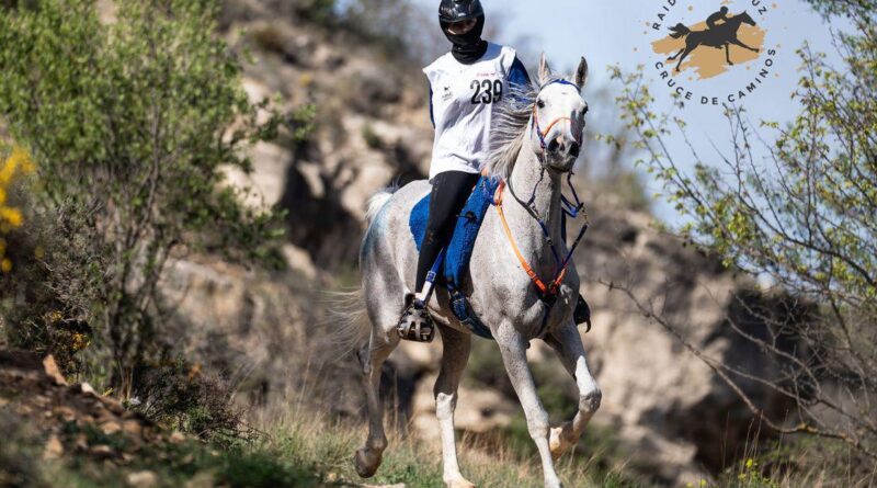Resultados del XXV Raid Hípico Internacional de Ademuz (Valencia). 27/04/2026.