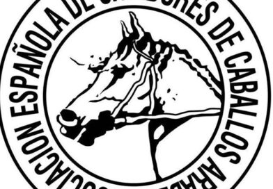 Pruebas para Caballos Jóvenes de Raid, Meses de Marzo y Abril 2026.