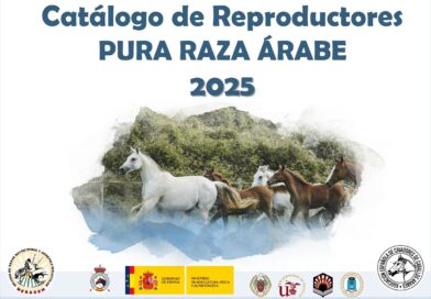 Catálogo de Reproductores 2025 de AECCA.