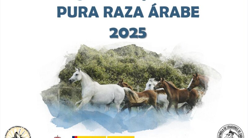 Catálogo de Reproductores 2025 de AECCA.