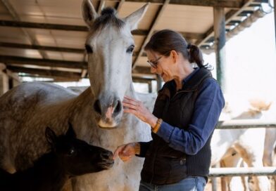 Tu Fuente Definitiva para Nutrición y Cuidados de Caballos.