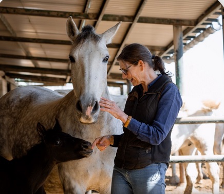 Tu Fuente Definitiva para Nutrición y Cuidados de Caballos.