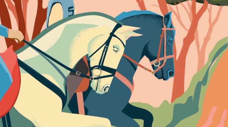 I Raid Hípico Pinares de Conil, en el Colorado, (Cádiz).