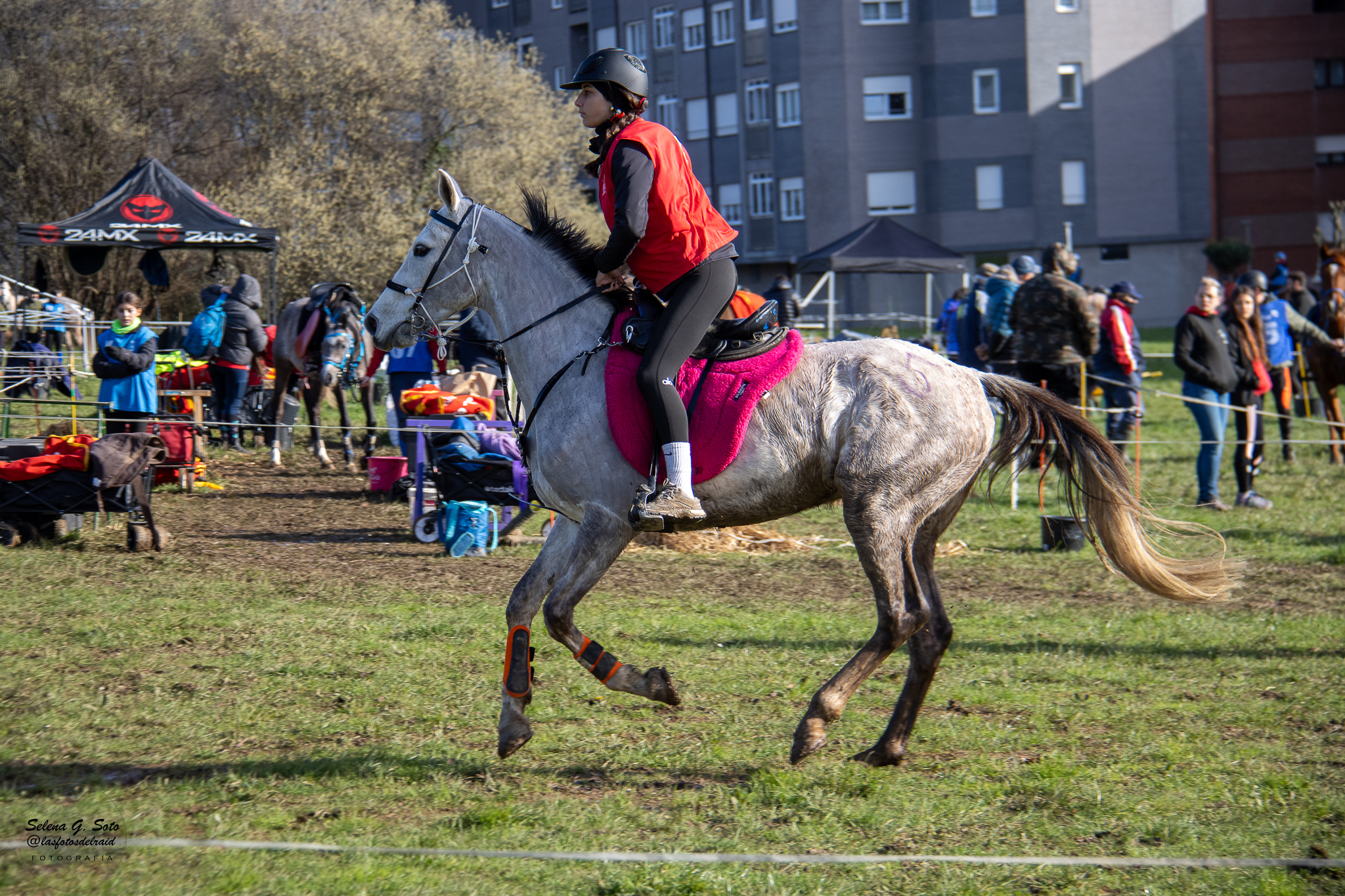 CRISTINA SÁNCHEZ NOVOA  1º EN LA LIGA DE JÓVENES JINETES. (Foto de Selena G. Soto).