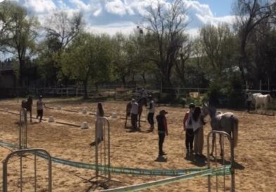 Resultados del Raid Hípico El Corzo en Badajoz.