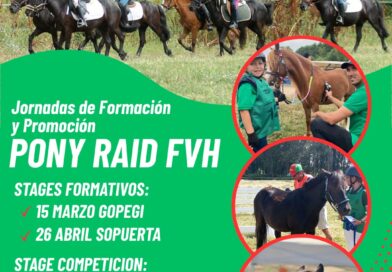 Conoce el Pony Raid.