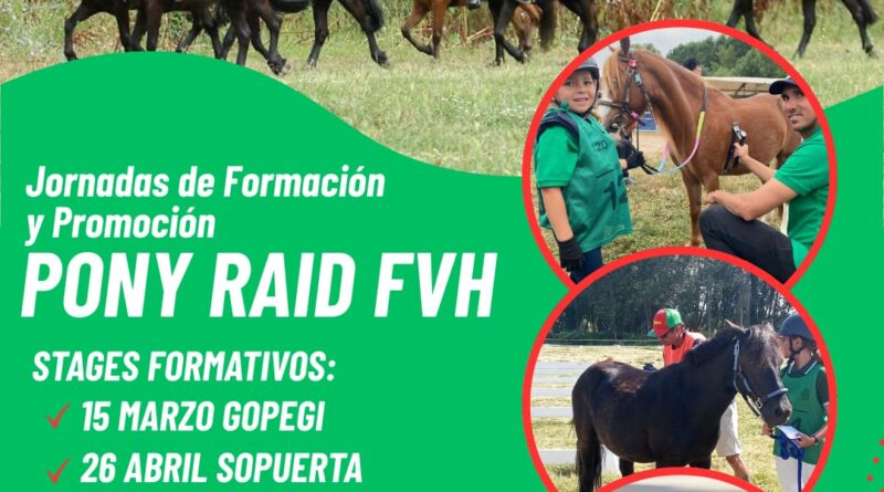 Conoce el Pony Raid.