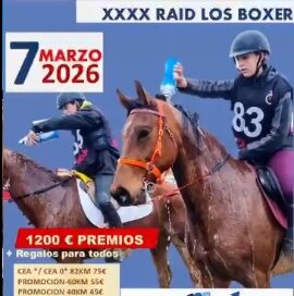 Resultados del XL Raid Hípico los Boxer en Cadalso de los Vidrios (Madrid).
