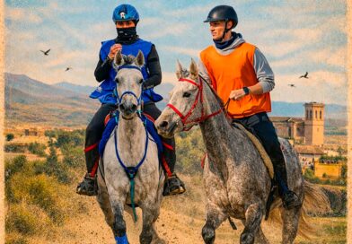 Resultados del XIX Raid Hípico Ciudad de Osuna (Sevilla).