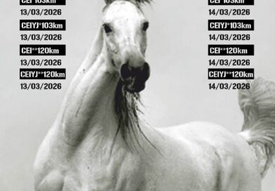 Información del Raid Internacional de Tordera (Barcelona).