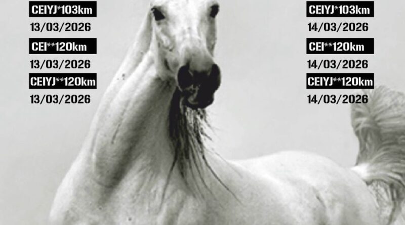 Información del Raid Internacional de Tordera (Barcelona).