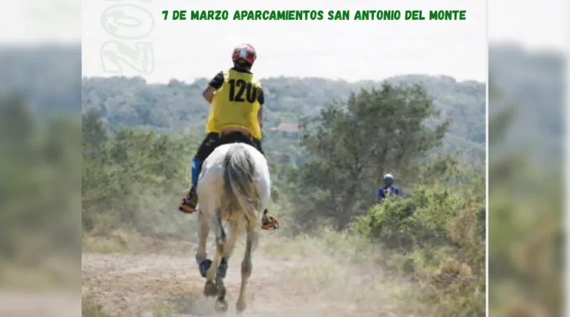 Inscritos en el II Raid Hípico La Villa de Garafía, La Palma.