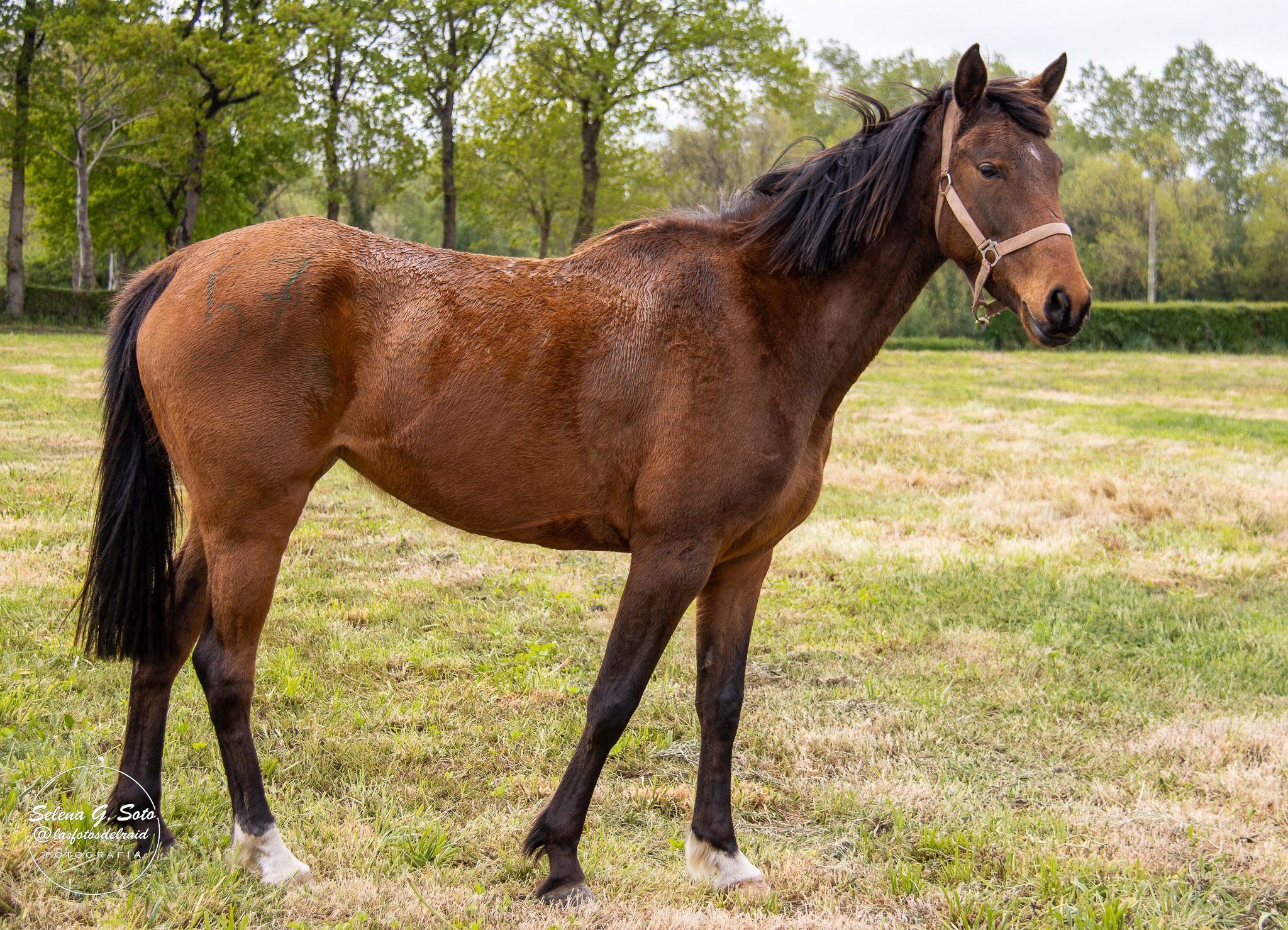 "𝐒𝐖 𝐍𝐀𝐌𝐑𝐀𝐓𝐎𝐔"  Montado por Ada Marina García García.