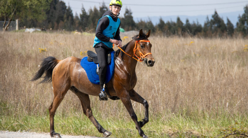 Resultados de AECCA del V Raid Hípico  Siglo Endurance en Castro de Rei (Lugo).