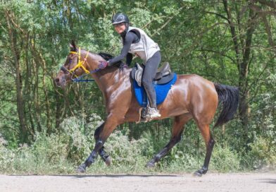 Maria Dulcet e Il-Shabari-del-Falot, Campeona de España de Raid 2026.