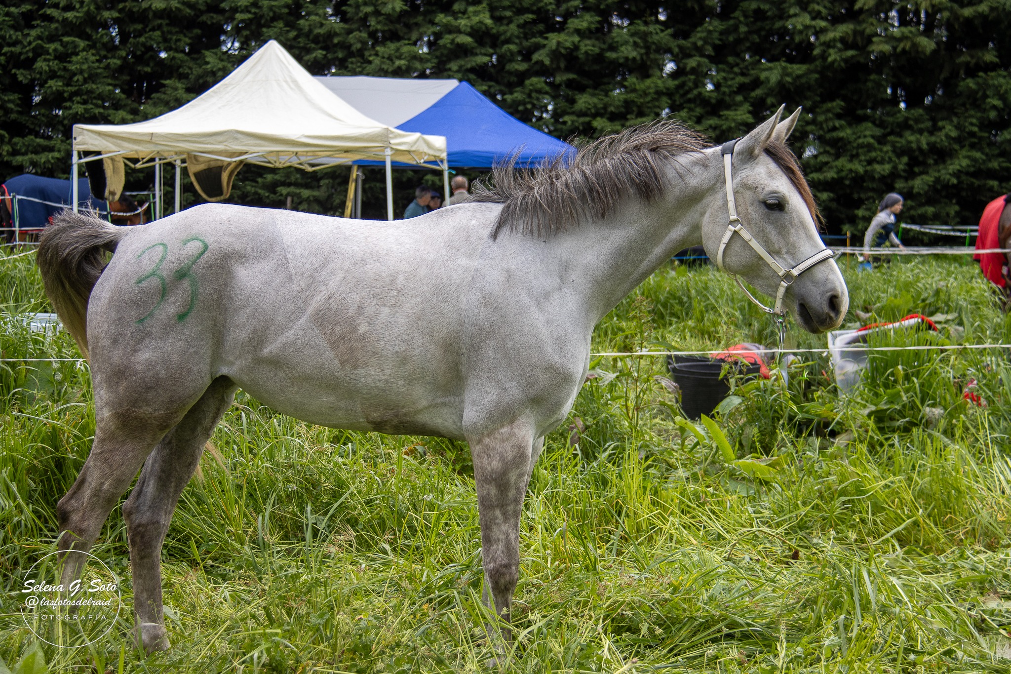 "𝐀𝐈𝐆𝐎𝐔𝐀𝐋 𝐋𝐀𝐌𝐁𝐀𝐃𝐀"  montada por Aiora Urkiaga Burgoa.