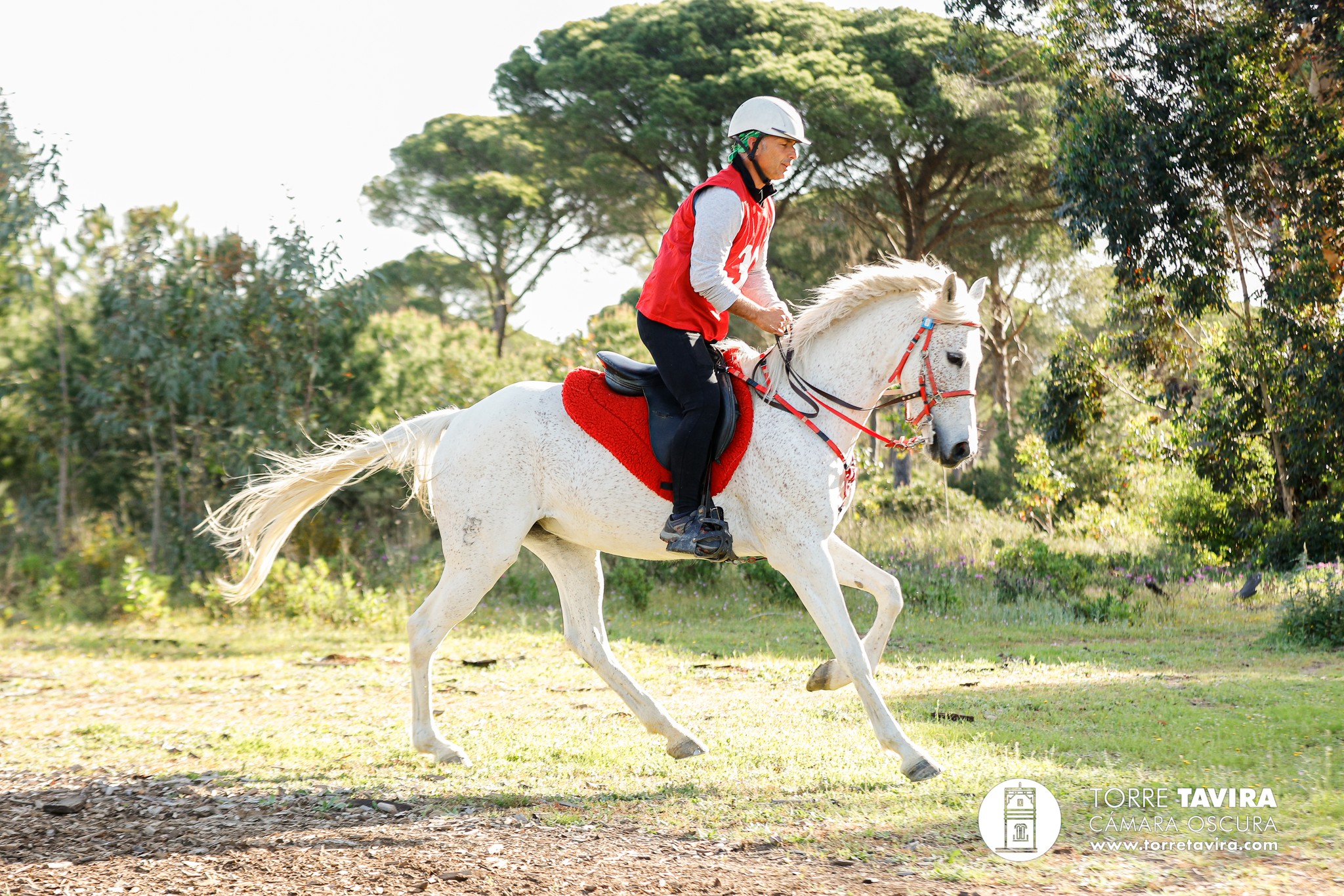Foto de Conil Turismo.