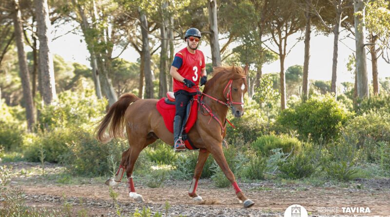 Crónica de Conil Turismo del I Raid Hípico Pinares de Conil en el Colorado, (Cádiz).