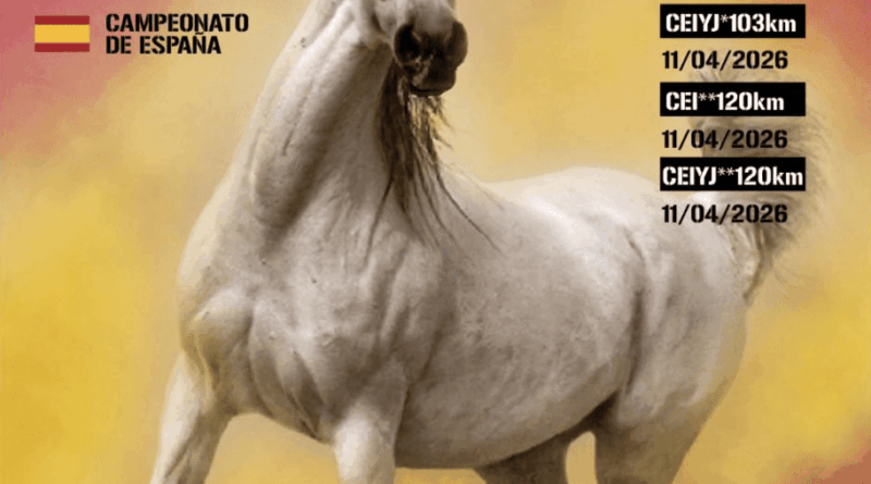 Información del Campeonato de España de Raid Absoluto 2026.