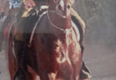 Estudio sobre la Sal y los Electrolitos en los Caballos.