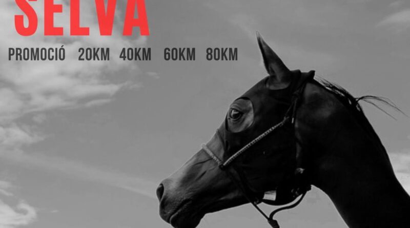 XI Raid Hípico Territorial de la Selva en Santa Coloma de Farners(Girona).