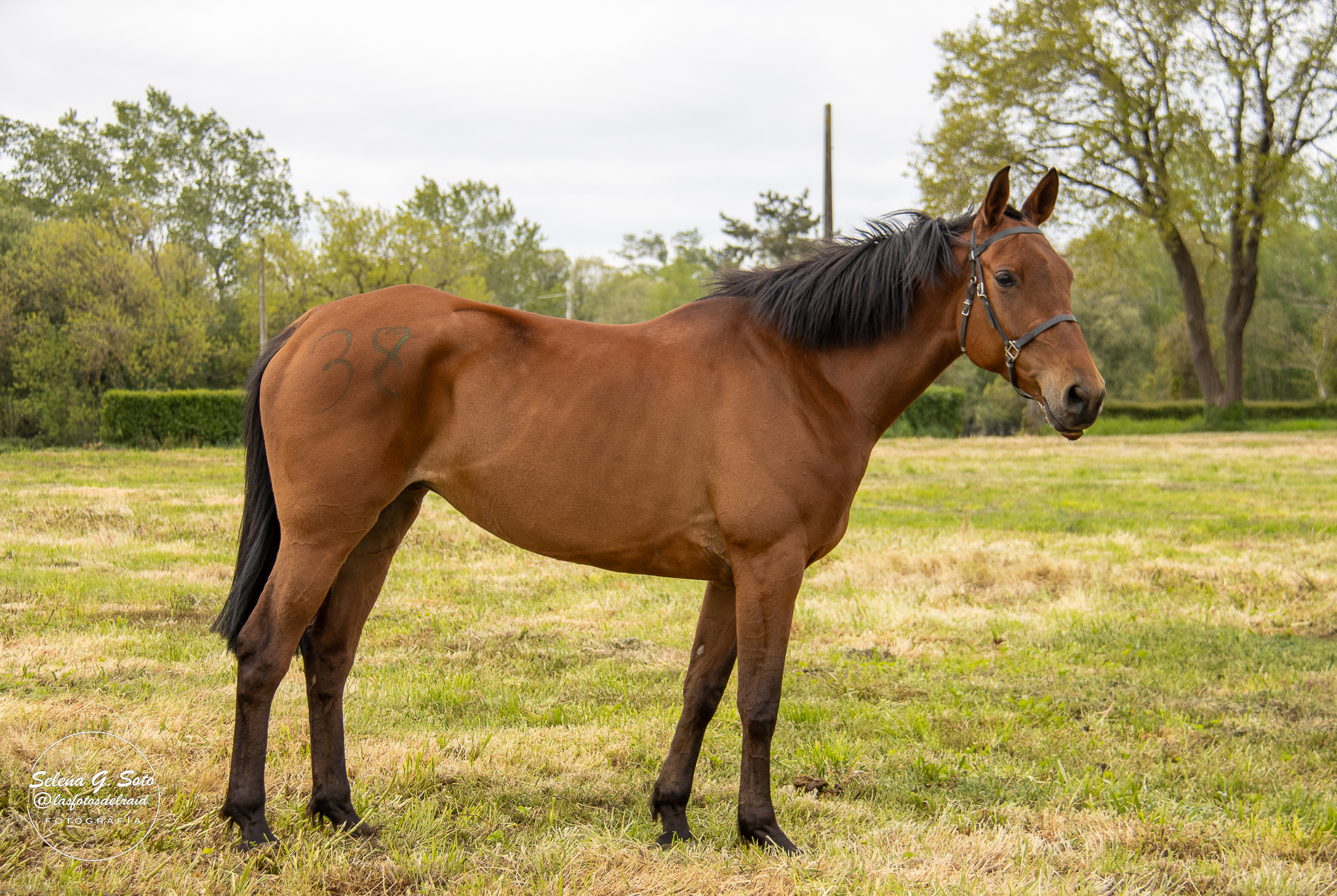 "𝐉𝐆 𝐌𝐔𝐆𝐀" Montada por Alejandro Quintana López. 𝐏𝐫𝐞𝐦𝐢𝐨 𝐄𝐬𝐩𝐞𝐜𝐢𝐚𝐥 𝐌𝐞𝐣𝐨𝐫 𝐂𝐨𝐧𝐝𝐢𝐜𝐢𝐨́𝐧 𝟔𝟎𝐤𝐦,