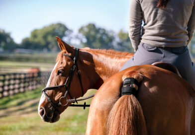 Garmin Blaze, Tecnología Avanzada para el Raid Ecuestre.