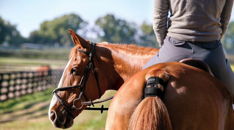 Garmin Blaze, Tecnología Avanzada para el Raid Ecuestre.