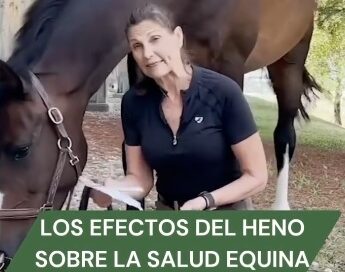 Evaluar el Heno bajo la Lupa por Coby Bolger.