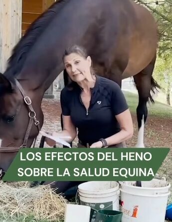 Evaluar el Heno bajo la Lupa por Coby Bolger.