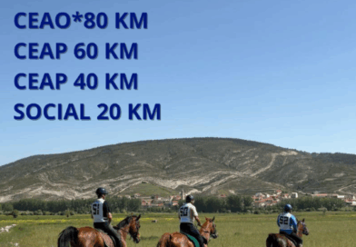 II Raid Hípico Fortanete (Teruel).