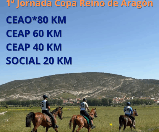 II Raid Hípico Fortanete (Teruel).