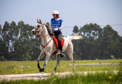 Crónica y Fotos de Selena G. Soto del XXVI Raid Hípico de Ribadedeva.