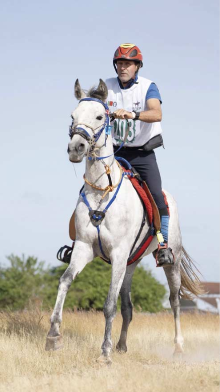 Reina de Corazones AA 67,08%, hija del también Anglo-árabe As deCorazón 34,06%, con su jinete y criador Francisco Javier Gutiérrez.