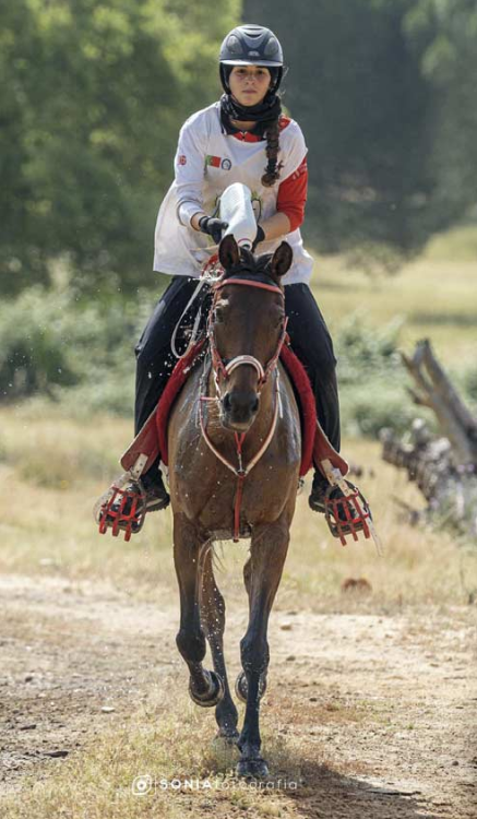 Éxito mundial de Valima 50, nacida en la yeguada de Francisco Vara,en Fresnedillas de la Oliva. Con Candela Hernani logró la plata por Equipos y Mejor Recuperación en el Mundial Júnior de Raid 2025. (FOTO: Sonia Martín)