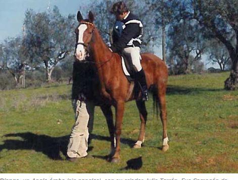 Diango, un Anglo-árabe (sin papeles), con su criador Julio Terrón. Fue Campeón deEuropa y Best Condition con el jinete Miquel Vila.
