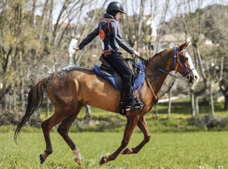 JM Espejo, hija de Tango D’Ayres y de la yegua Anglo-árabe Ro Victoria 50% criada por Juman Endurance, medallista española y europea con Mayte Pradera.