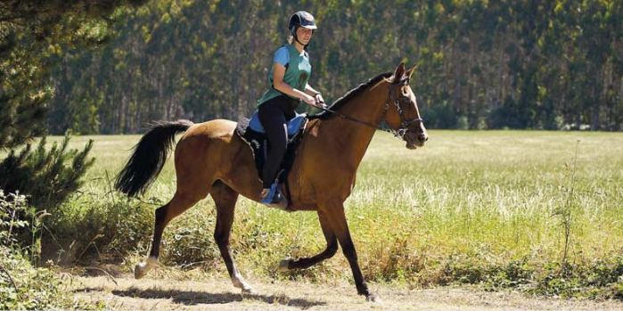 Queen BenAkbar 50%,
ganadora este
año en CEI* O
Corgo (Galicia).
Está criada por
Javier Rodríguez
Picado y monta-
da por Rocío
Díaz Cortón,
campeona de
España JY en
2023 con Ursula
d’Abalume, cria-
da por su madre
Pilar Cortón en
Yeguada
Abalume.
