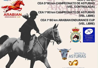 VIII Raid Hípico Arabian, Aytº de Llaneras (Asturias).