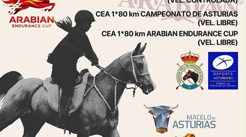 VIII Raid Hípico Arabian, Aytº de Llaneras (Asturias).